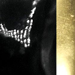 COLLIER ELLEN